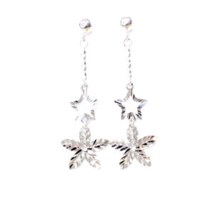 Aretes estrellas